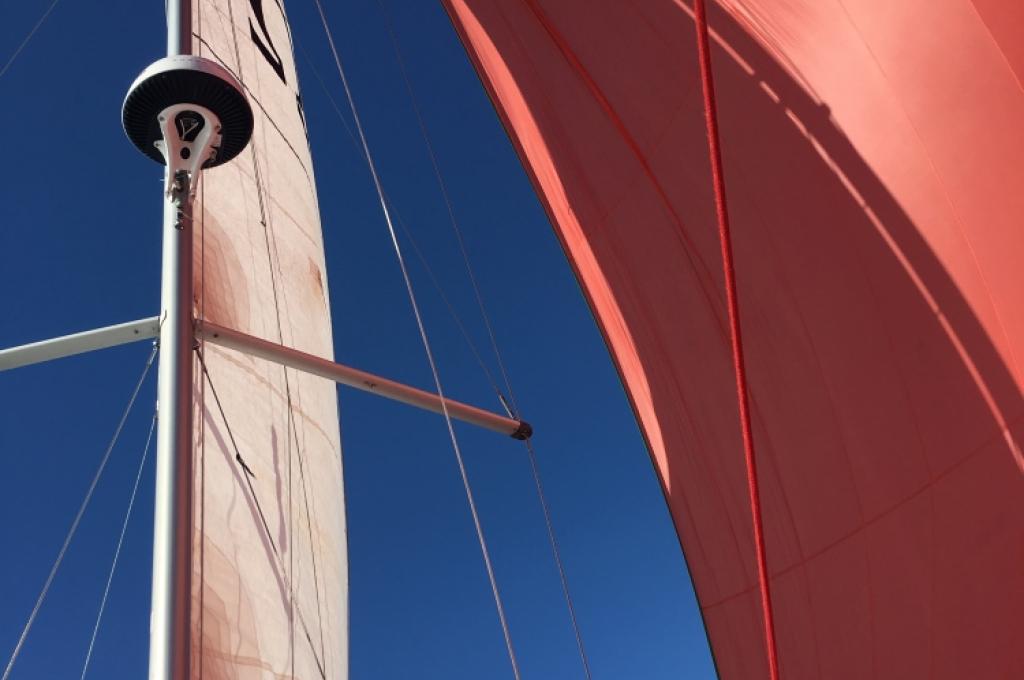 Original-Foto | aufgenommen am 03.03.2019