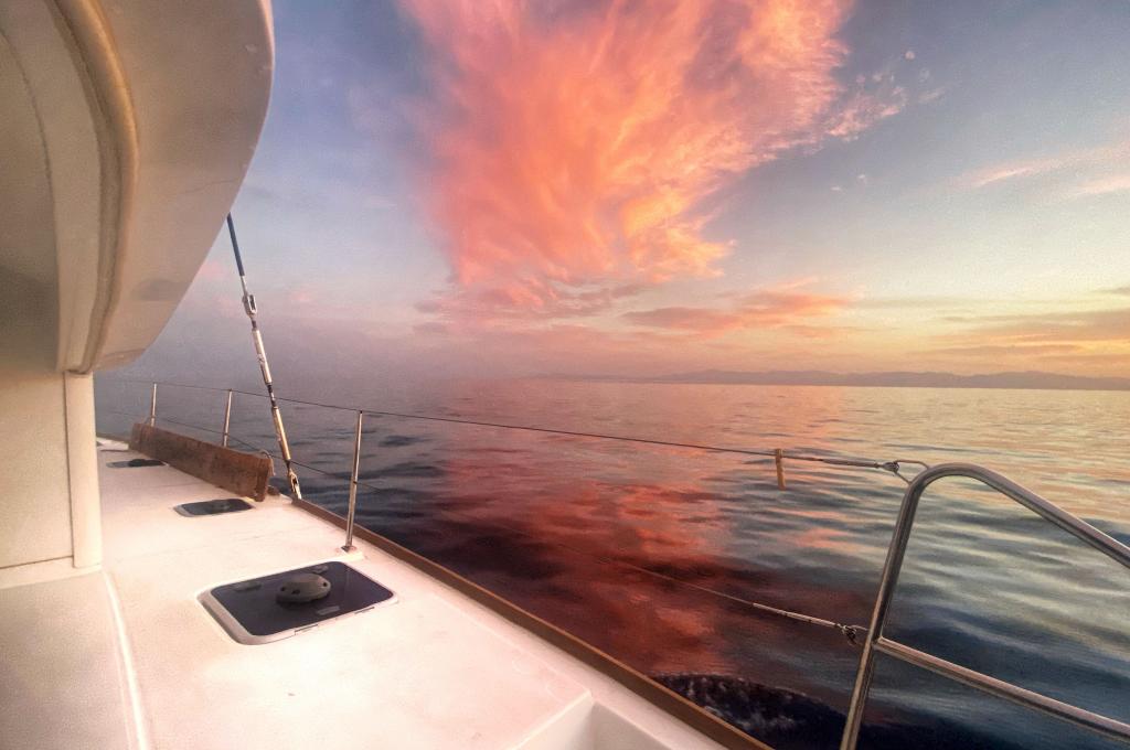 Original-Foto | aufgenommen am 08.11.2023