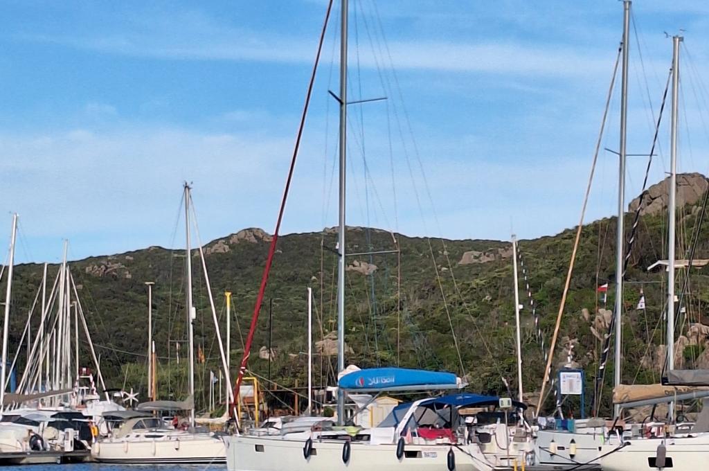 Original-Foto eines Kunden