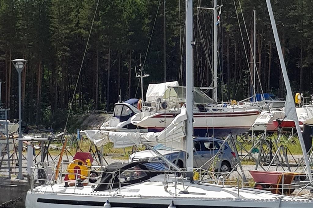 Original-Foto | aufgenommen am 12.06.2018