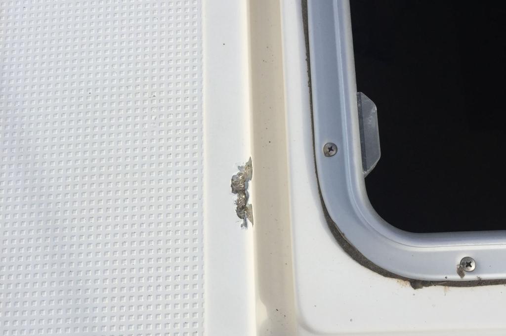 Original-Foto eines Kunden