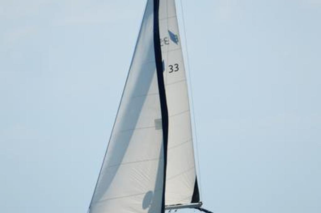 Katalog-Foto (evt. abweichend)