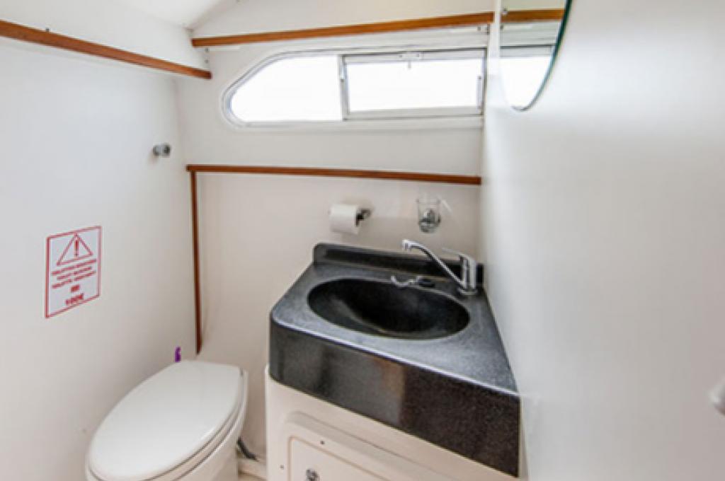 Katalog-Foto (evt. abweichend)