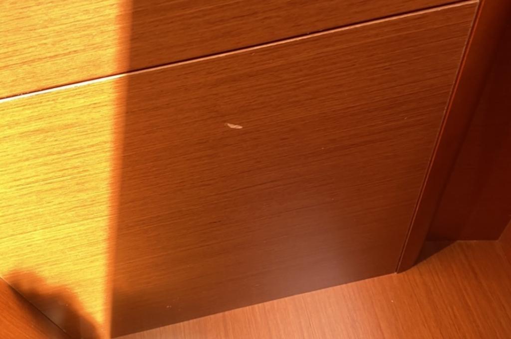 Original-Foto eines Kunden