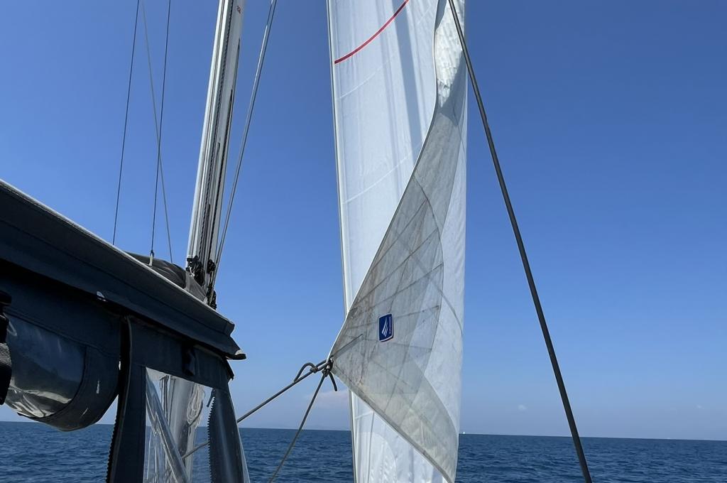 Original-Foto | aufgenommen am 28.07.2024