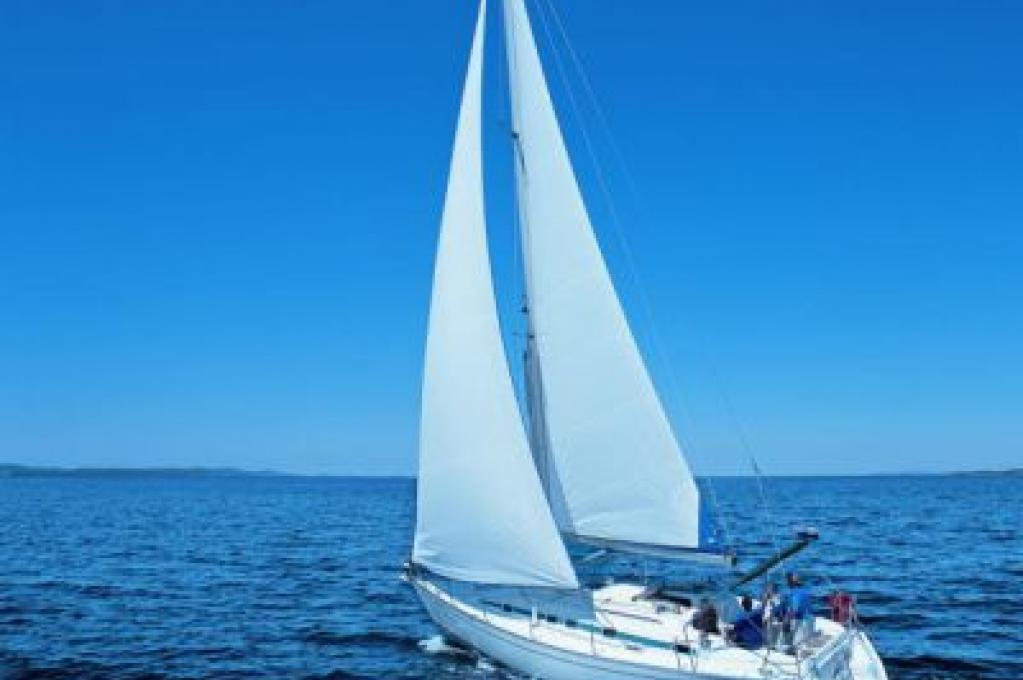 Katalog-Foto (evt. abweichend)