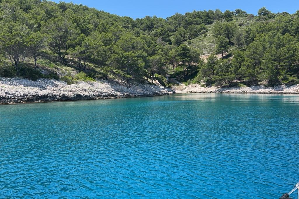 Original-Foto eines Kunden | aufgenommen am 08.06.2023