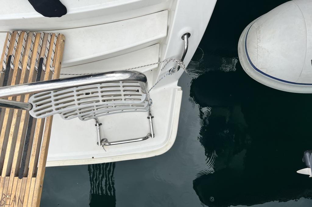 Original-Foto eines Kunden