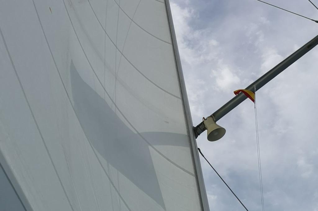 Original-Foto eines Kunden | aufgenommen am 09.06.2019