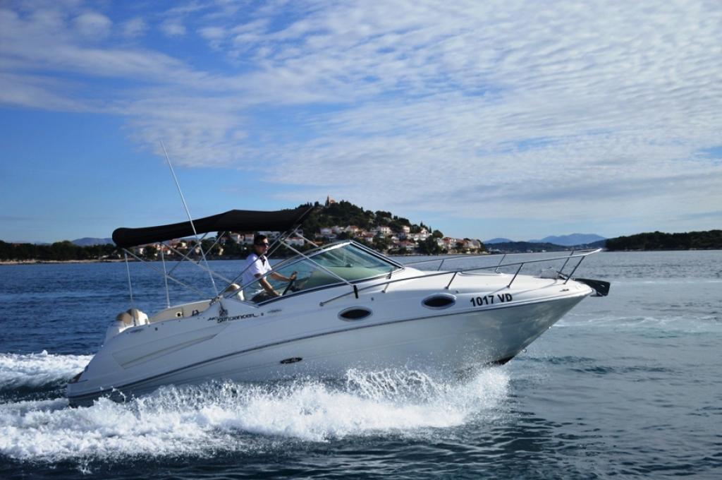 Original-Foto | aufgenommen am 04.11.2016