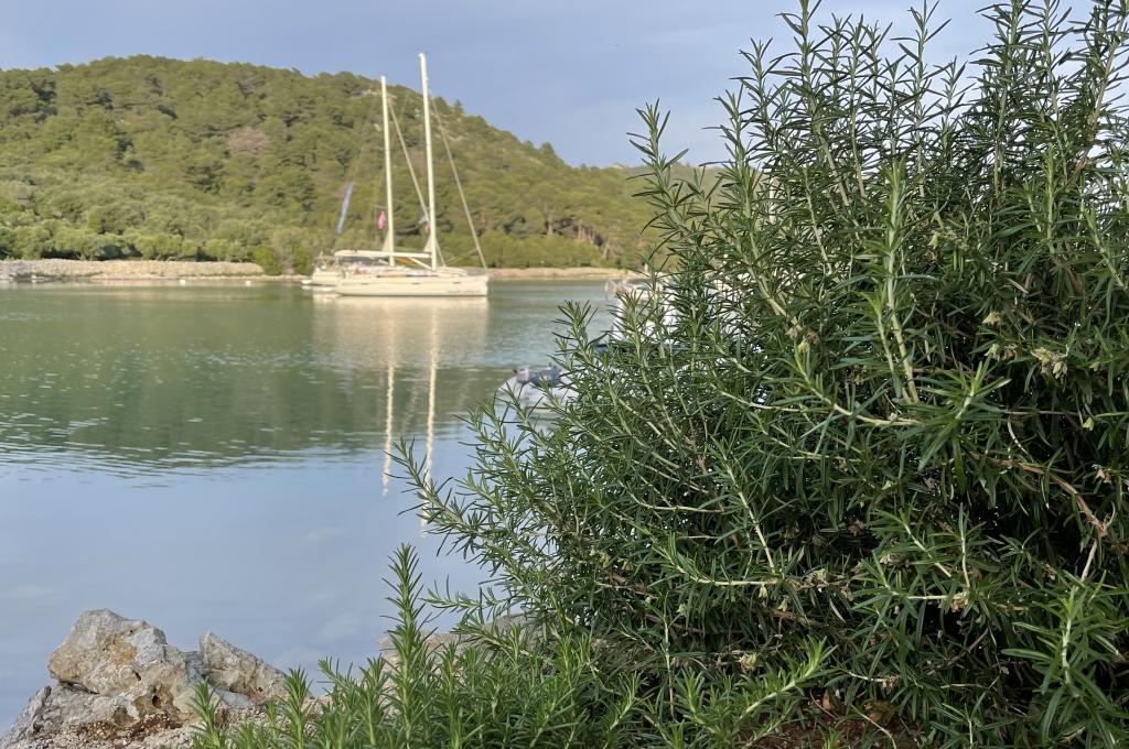 Original-Foto eines Kunden