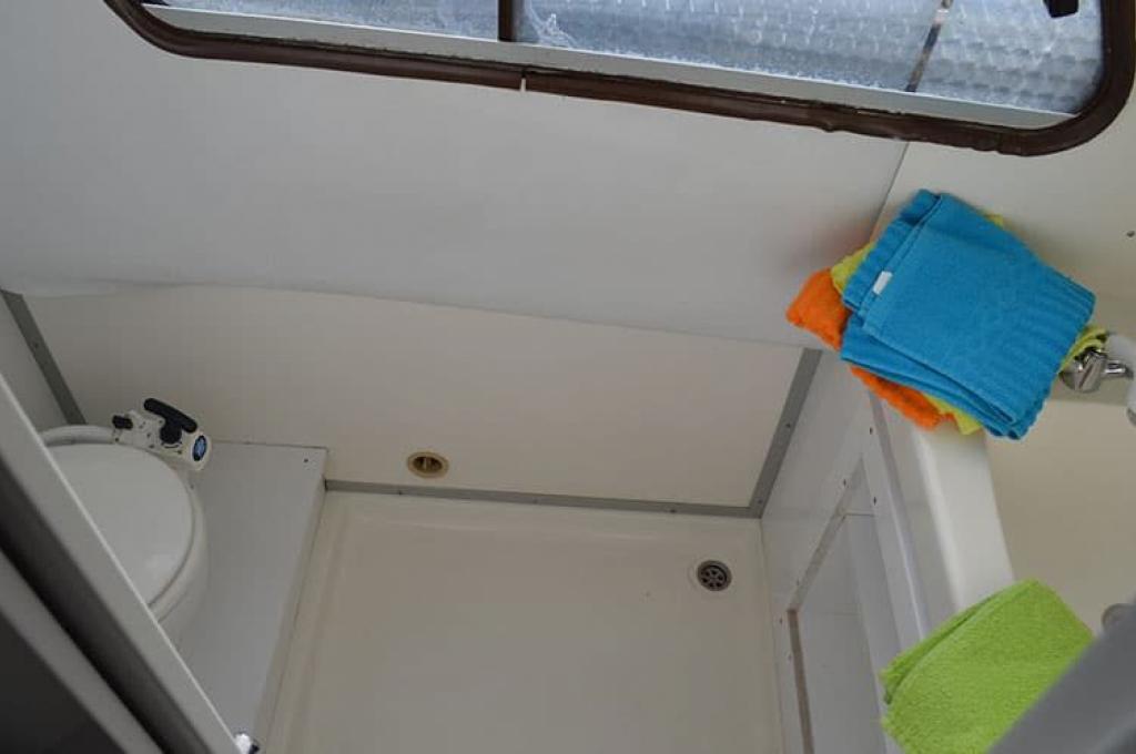 Katalog-Foto (evt. abweichend)