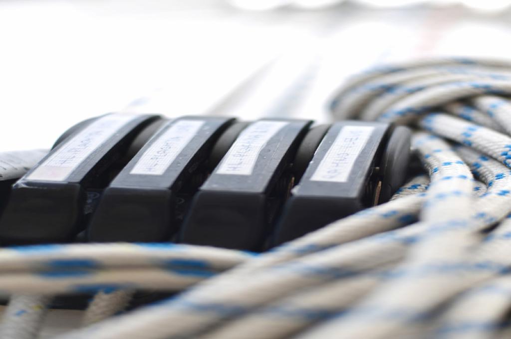 Original-Foto | aufgenommen am 24.06.2019