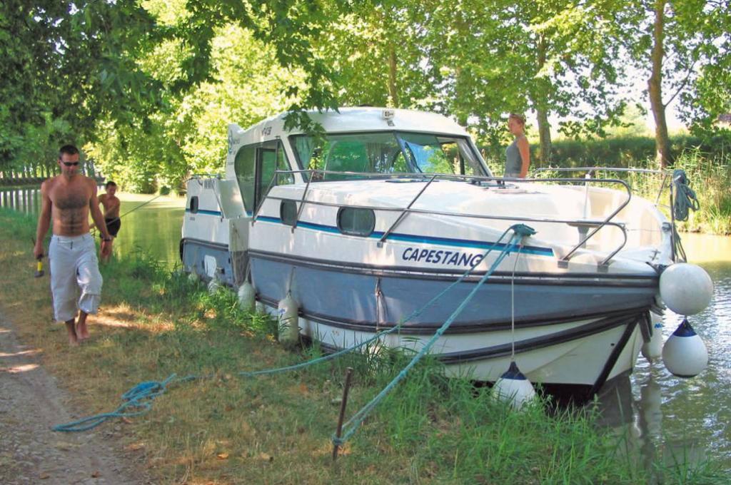 Katalog-Foto (evt. abweichend)