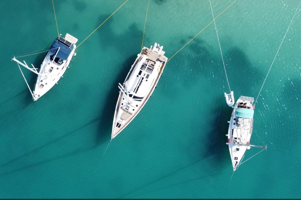 Katalog-Foto (evt. abweichend)