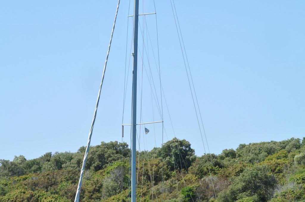 Original-Foto eines Kunden