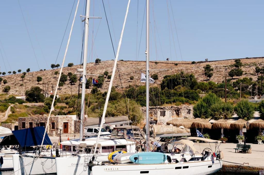 Katalog-Foto (evt. abweichend)