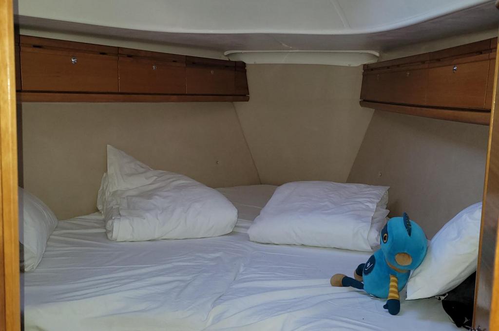 Original-Foto eines Kunden