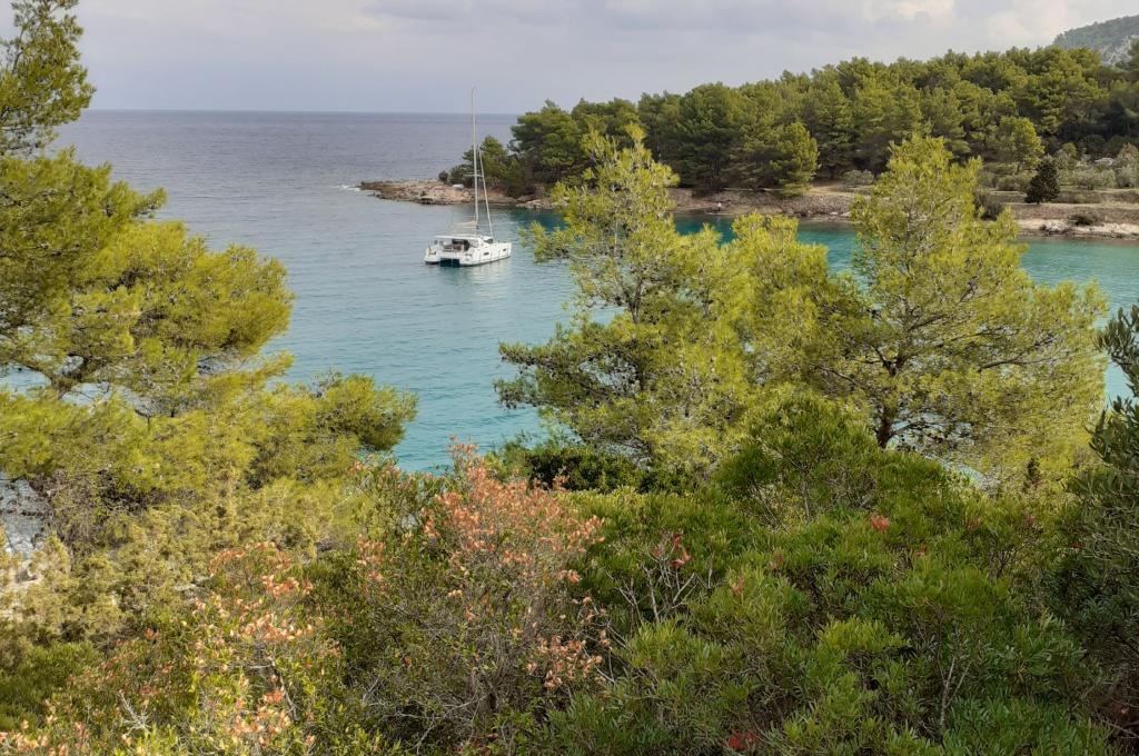 Original-Foto eines Kunden