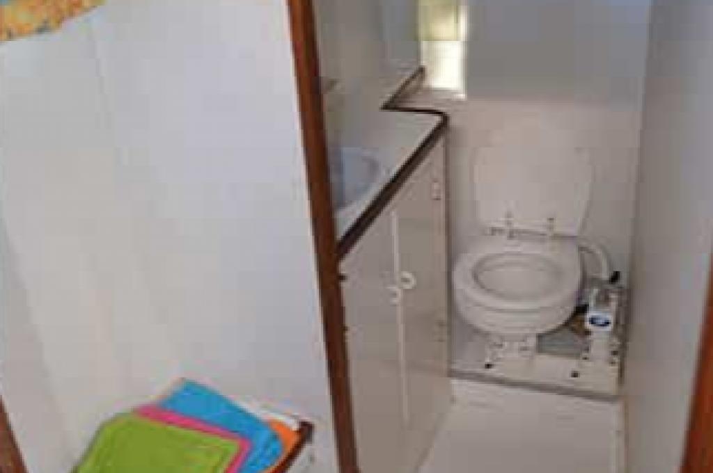 Katalog-Foto (evt. abweichend)