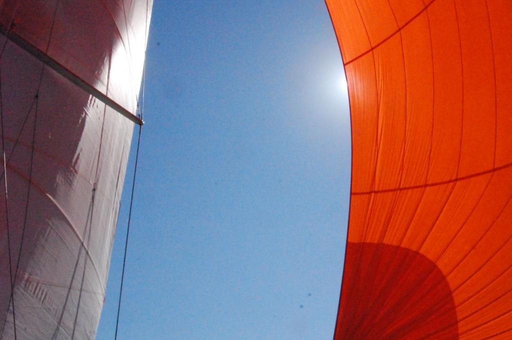 Original-Foto | aufgenommen am 11.10.2020