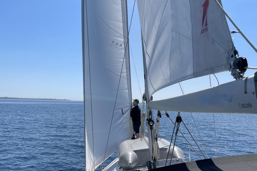 Katalog-Foto (evt. abweichend)