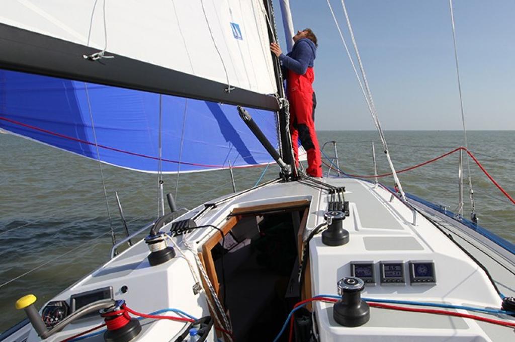 Katalog-Foto (evt. abweichend)