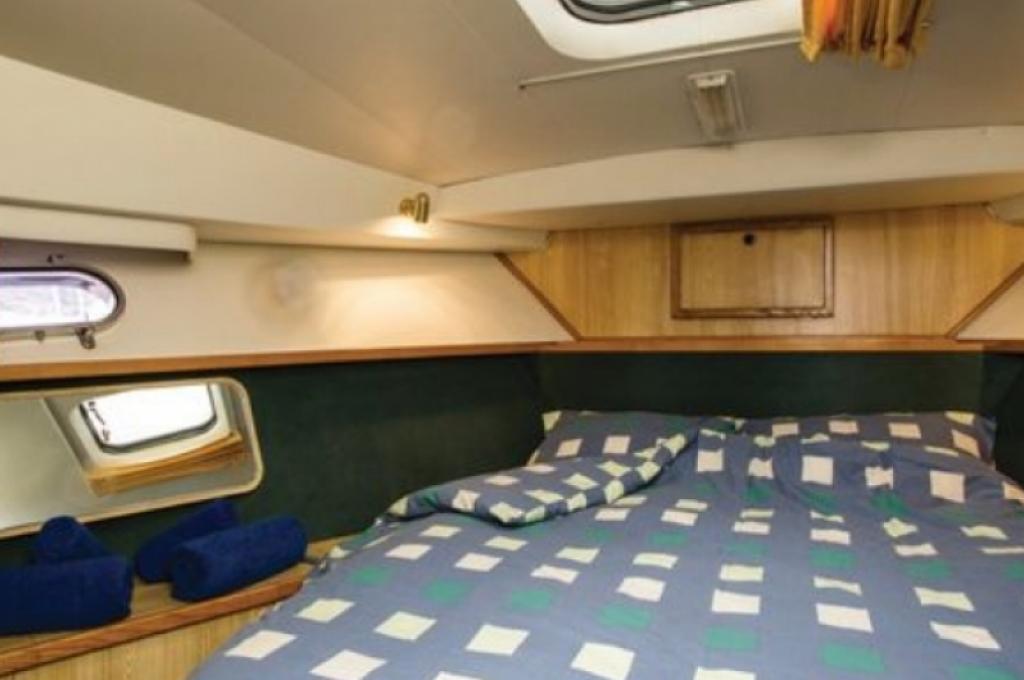 Katalog-Foto (evt. abweichend)